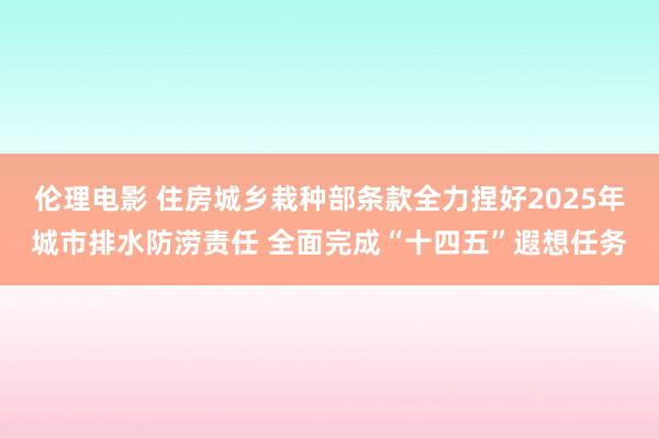 伦理电影 住房城乡栽种部条款全力捏好2025年城市排水防涝责任 全面完成“十四五”遐想任务