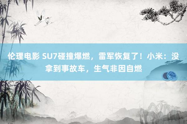 伦理电影 SU7碰撞爆燃，雷军恢复了！小米：没拿到事故车，生气非因自燃