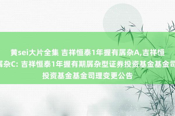 黄sei大片全集 吉祥恒泰1年握有羼杂A,吉祥恒泰1年握有羼杂C: 吉祥恒泰1年握有期羼杂型证券投资基金基金司理变更公告