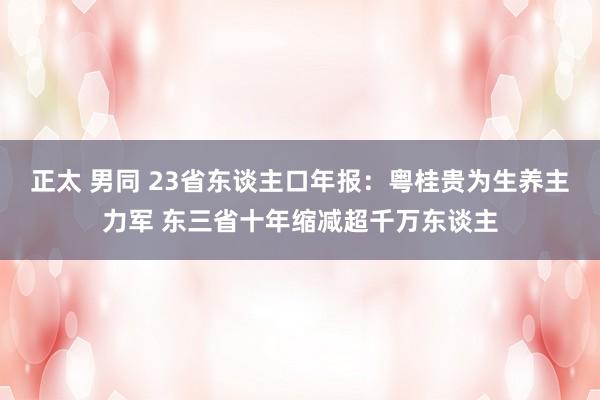 正太 男同 23省东谈主口年报：粤桂贵为生养主力军 东三省十年缩减超千万东谈主