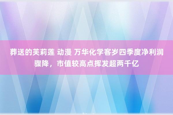 葬送的芙莉莲 动漫 万华化学客岁四季度净利润骤降，市值较高点挥发超两千亿