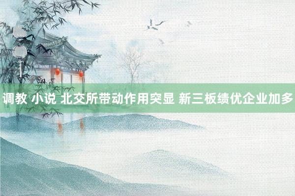 调教 小说 北交所带动作用突显 新三板绩优企业加多