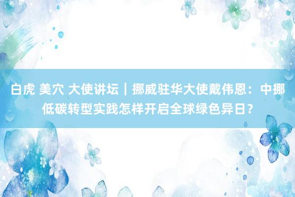 白虎 美穴 大使讲坛｜挪威驻华大使戴伟恩：中挪低碳转型实践怎样开启全球绿色异日？