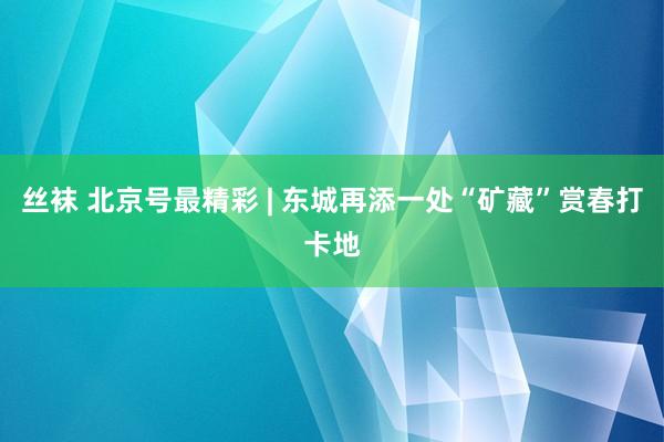 丝袜 北京号最精彩 | 东城再添一处“矿藏”赏春打卡地
