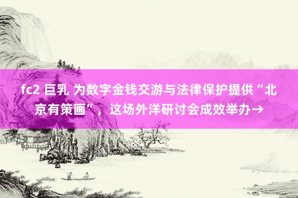 fc2 巨乳 为数字金钱交游与法律保护提供“北京有策画”，这场外洋研讨会成效举办→