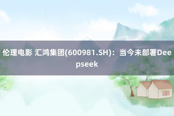 伦理电影 汇鸿集团(600981.SH)：当今未部署Deepseek