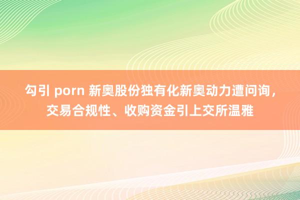 勾引 porn 新奥股份独有化新奥动力遭问询，交易合规性、收购资金引上交所温雅