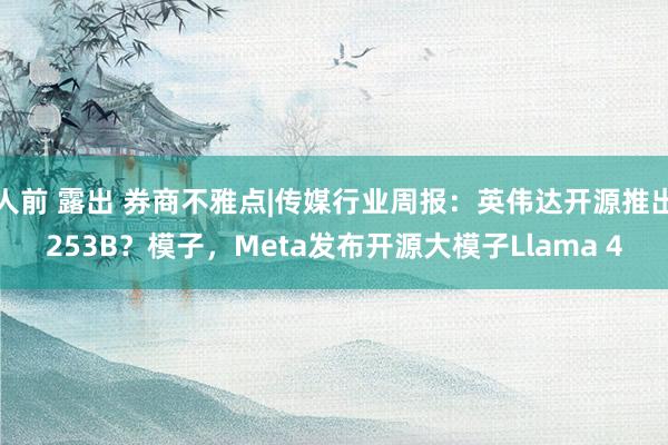 人前 露出 券商不雅点|传媒行业周报：英伟达开源推出253B？模子，Meta发布开源大模子Llama 4