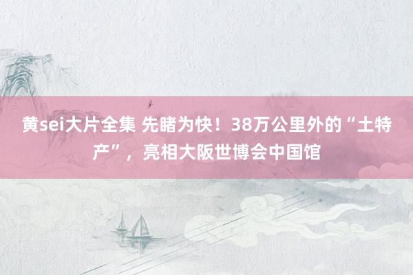 黄sei大片全集 先睹为快！38万公里外的“土特产”，亮相大阪世博会中国馆