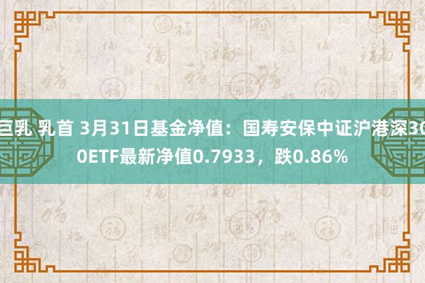巨乳 乳首 3月31日基金净值：国寿安保中证沪港深300ETF最新净值0.7933，跌0.86%