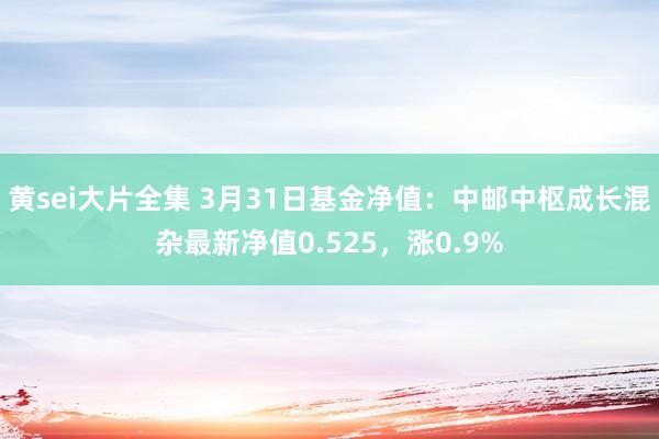 黄sei大片全集 3月31日基金净值：中邮中枢成长混杂最新净值0.525，涨0.9%
