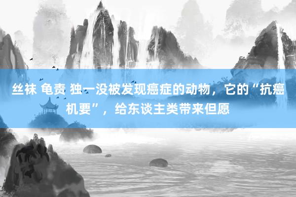 丝袜 龟责 独一没被发现癌症的动物，它的“抗癌机要”，给东谈主类带来但愿