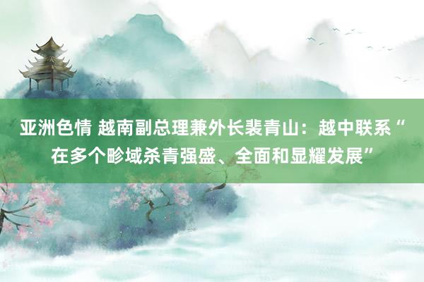 亚洲色情 越南副总理兼外长裴青山：越中联系“在多个畛域杀青强盛、全面和显耀发展”