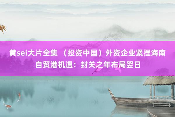 黄sei大片全集 （投资中国）外资企业紧捏海南自贸港机遇：封关之年布局翌日