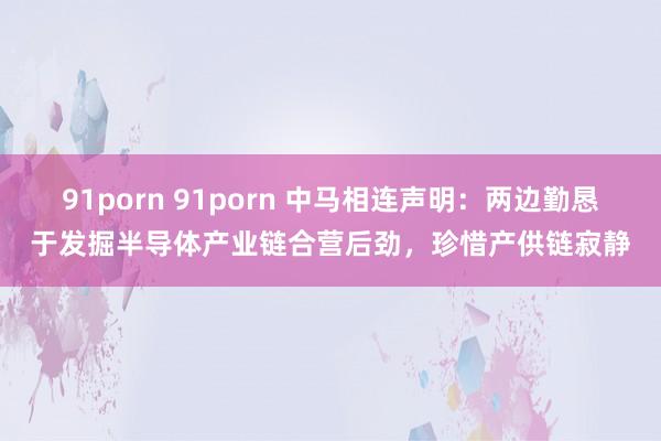 91porn 91porn 中马相连声明：两边勤恳于发掘半导体产业链合营后劲，珍惜产供链寂静