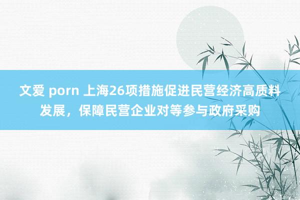 文爱 porn 上海26项措施促进民营经济高质料发展，保障民营企业对等参与政府采购