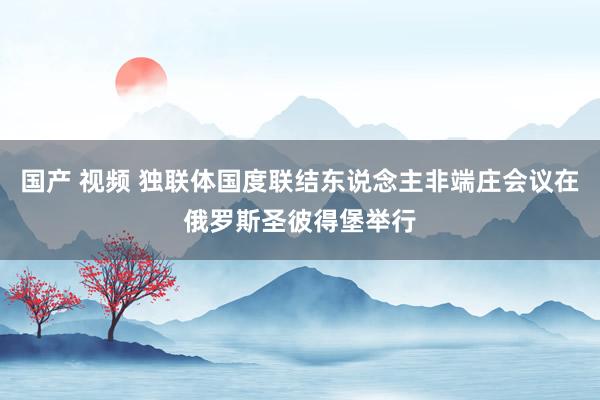 国产 视频 独联体国度联结东说念主非端庄会议在俄罗斯圣彼得堡举行