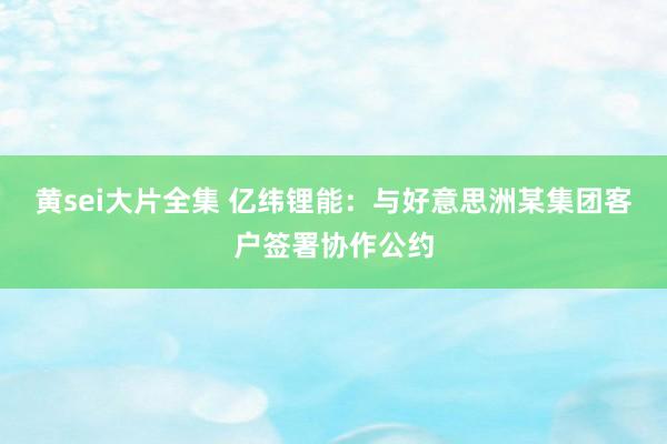 黄sei大片全集 亿纬锂能：与好意思洲某集团客户签署协作公约