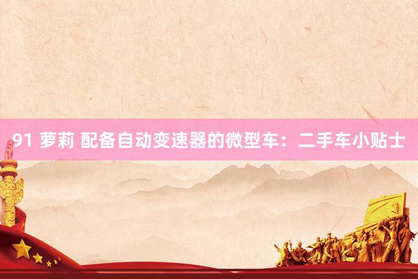 91 萝莉 配备自动变速器的微型车：二手车小贴士