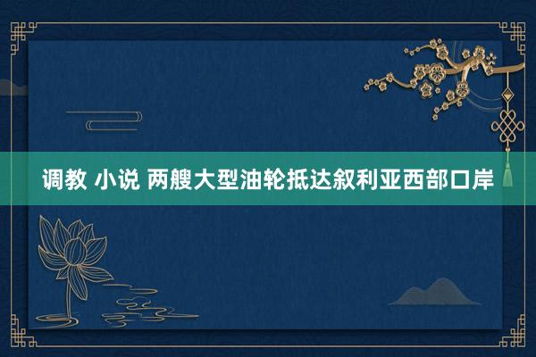 调教 小说 两艘大型油轮抵达叙利亚西部口岸