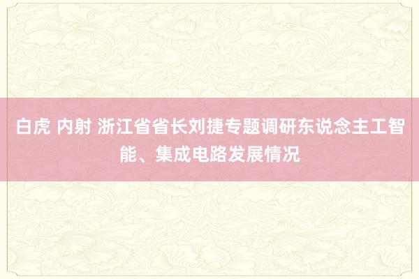 白虎 内射 浙江省省长刘捷专题调研东说念主工智能、集成电路发展情况
