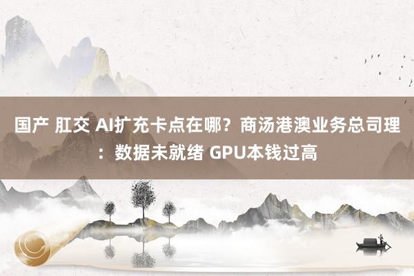 国产 肛交 AI扩充卡点在哪？商汤港澳业务总司理：数据未就绪 GPU本钱过高
