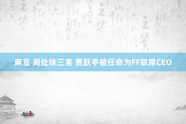 麻豆 周处除三害 贾跃亭被任命为FF联席CEO